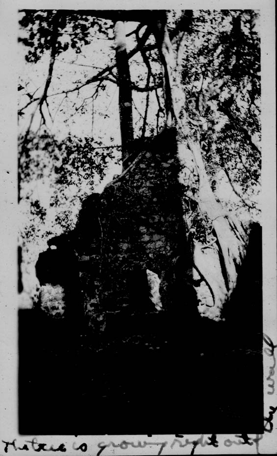 Old Convent, Panama, Ca. 1929-30 (Source: Barnes) 